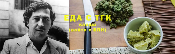 гидра Абаза
