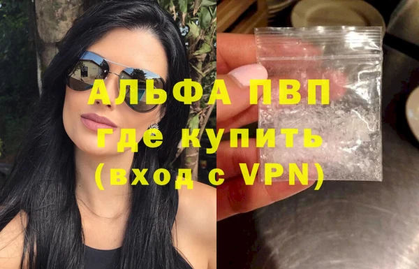 прущие грибы Няндома