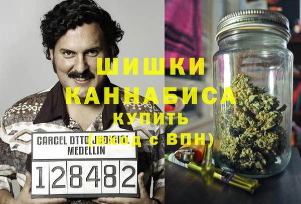 прущие грибы Няндома
