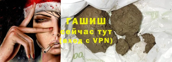 гидра Абаза